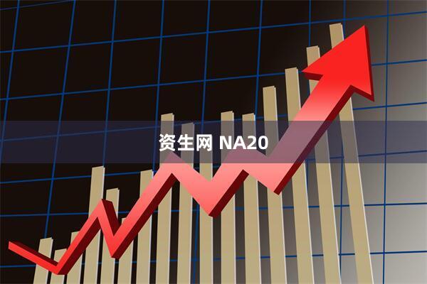 资生网 NA20