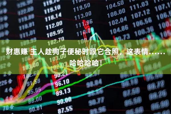 财惠赚 主人趁狗子便秘时跟它合照，这表情……哈哈哈哈！