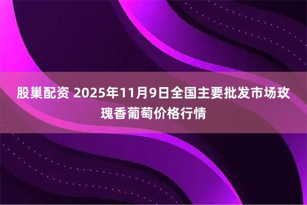 股巢配资 2025年11月9日全国主要批发市场玫瑰香葡萄价格行情