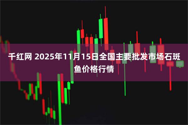 千红网 2025年11月15日全国主要批发市场石斑鱼价格行情