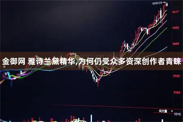 金御网 雅诗兰黛精华,为何仍受众多资深创作者青睐